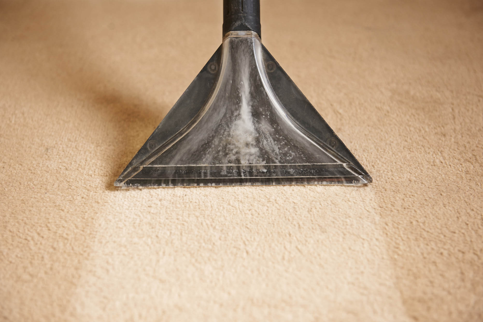 How to double the life of your carpet by cleaning